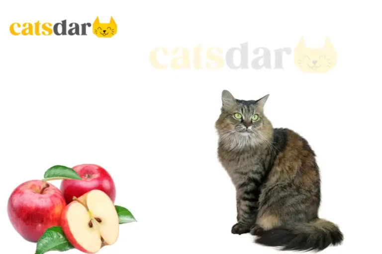 Can Cats Eat Apples