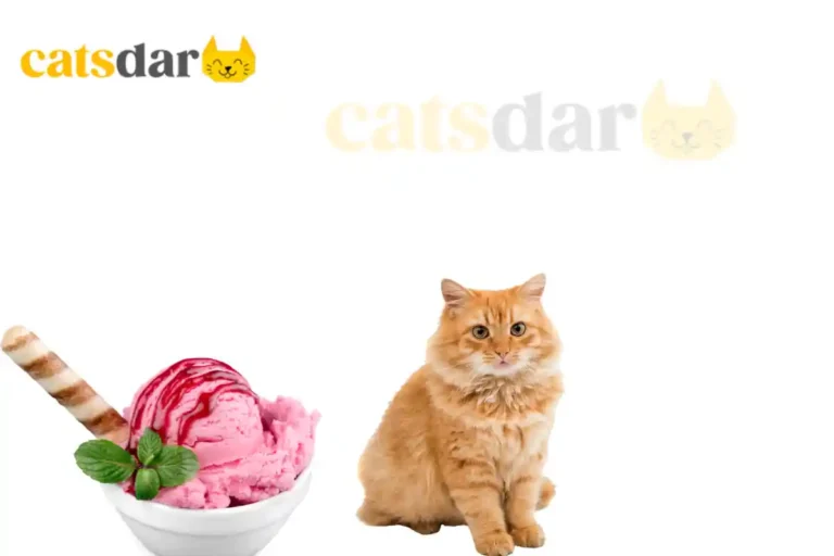 Can Cats Eat Ice Cream
