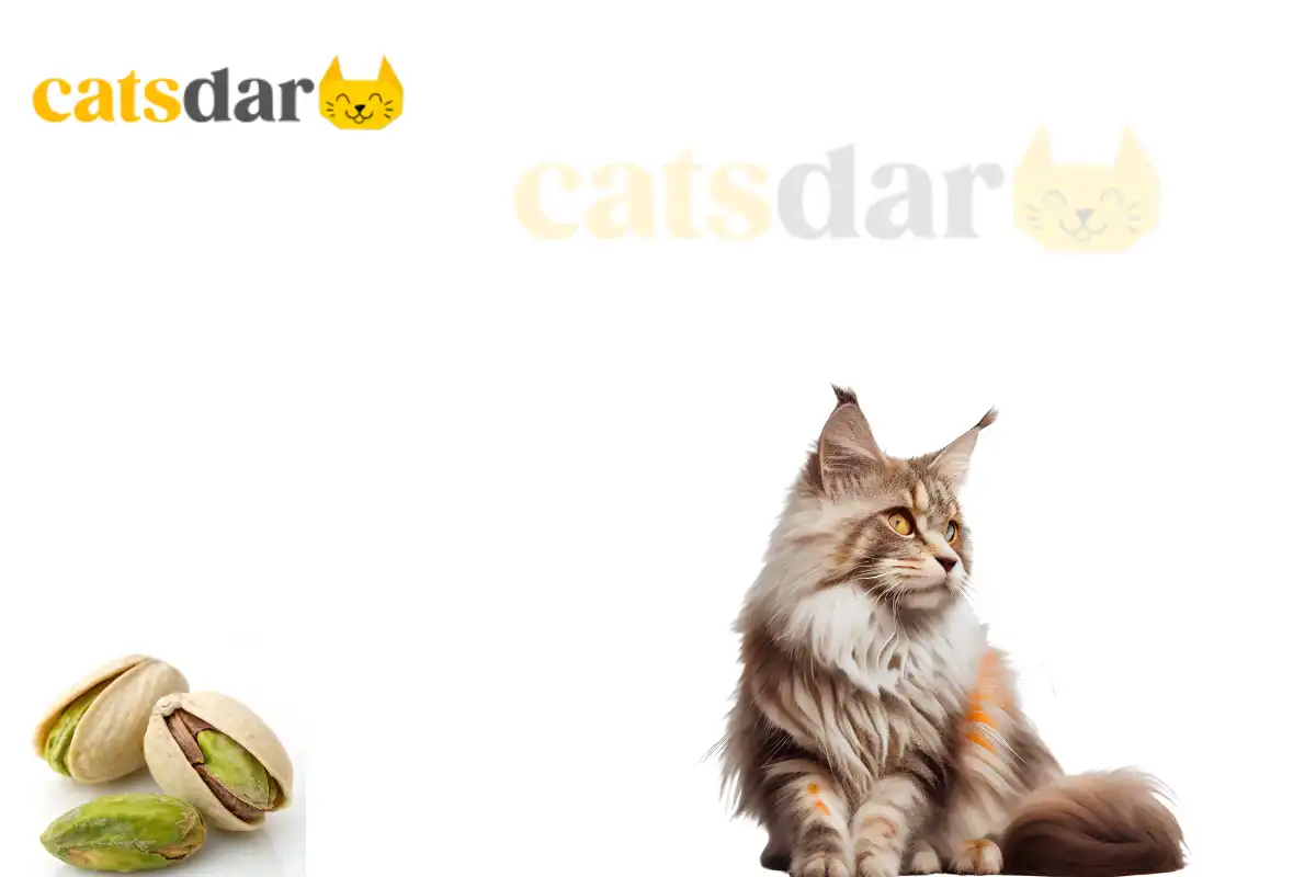 Can Cats Eat Pistachios