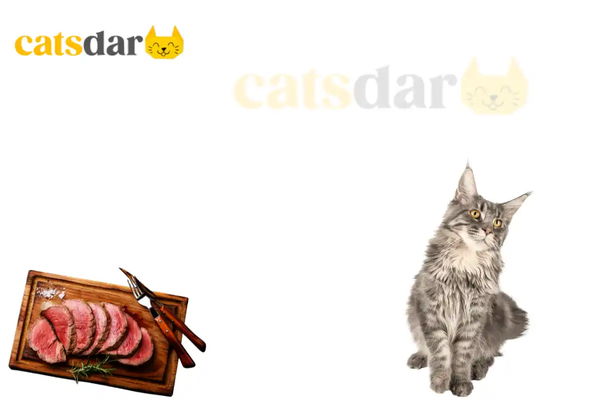 Can Cats Eat Steak