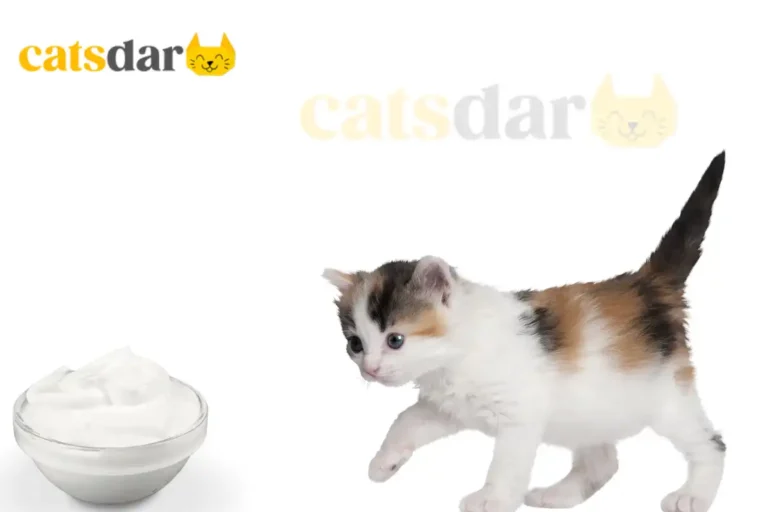 Can Cats Eat Yogurt