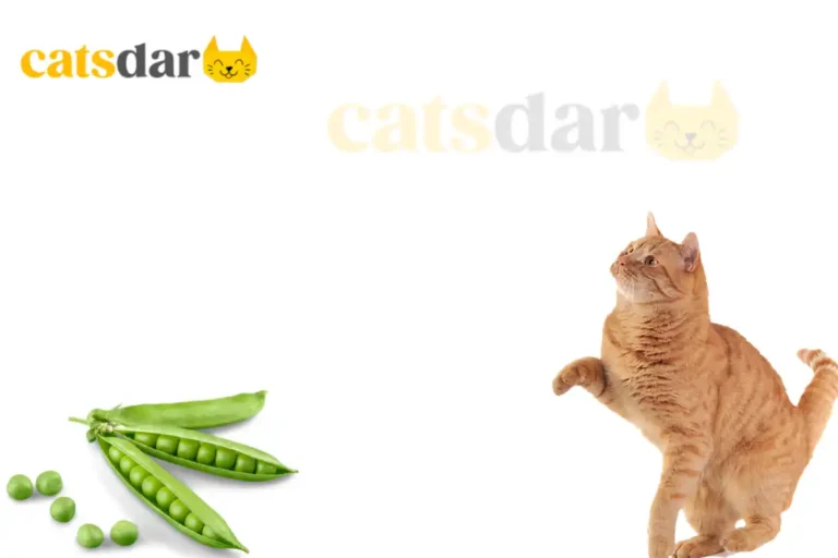 Can cats eat peas
