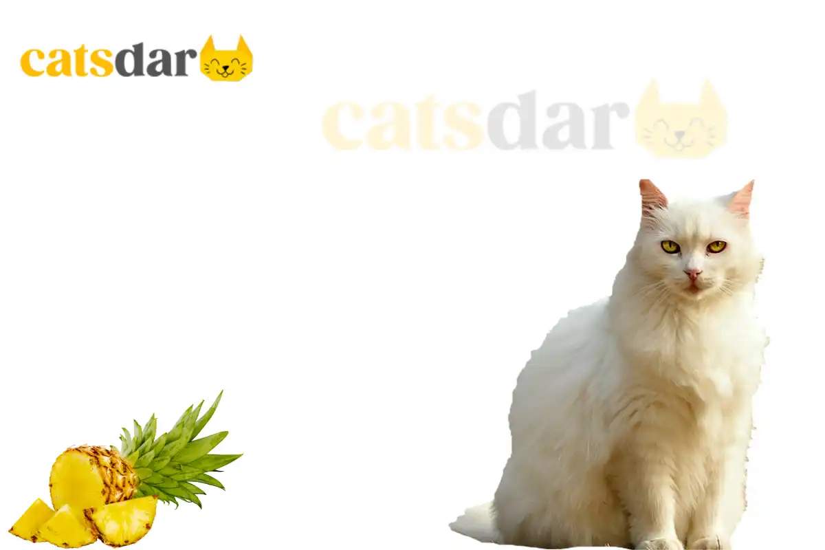 Can cats eat pineapple