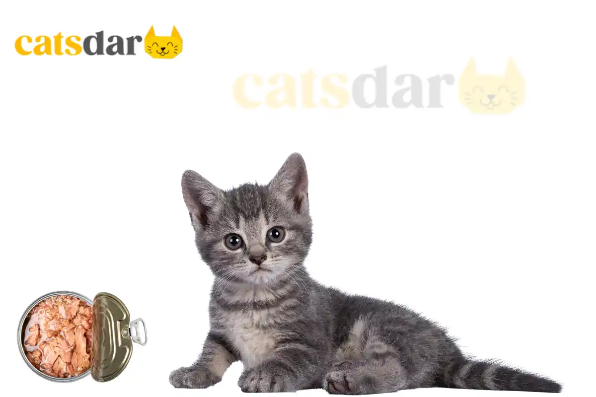 Can cats eat tuna