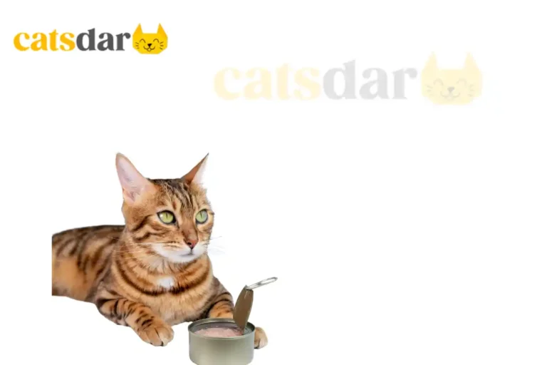 How long can a cat go without eating