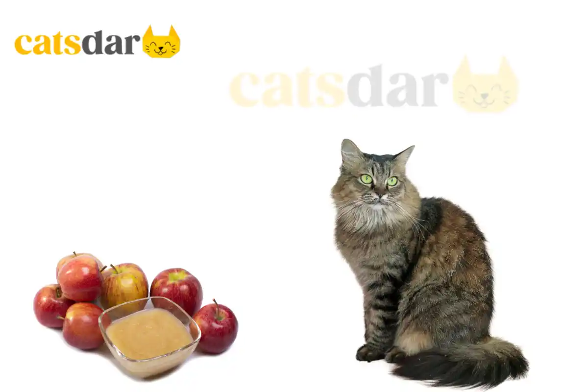 can cats eat applesauce