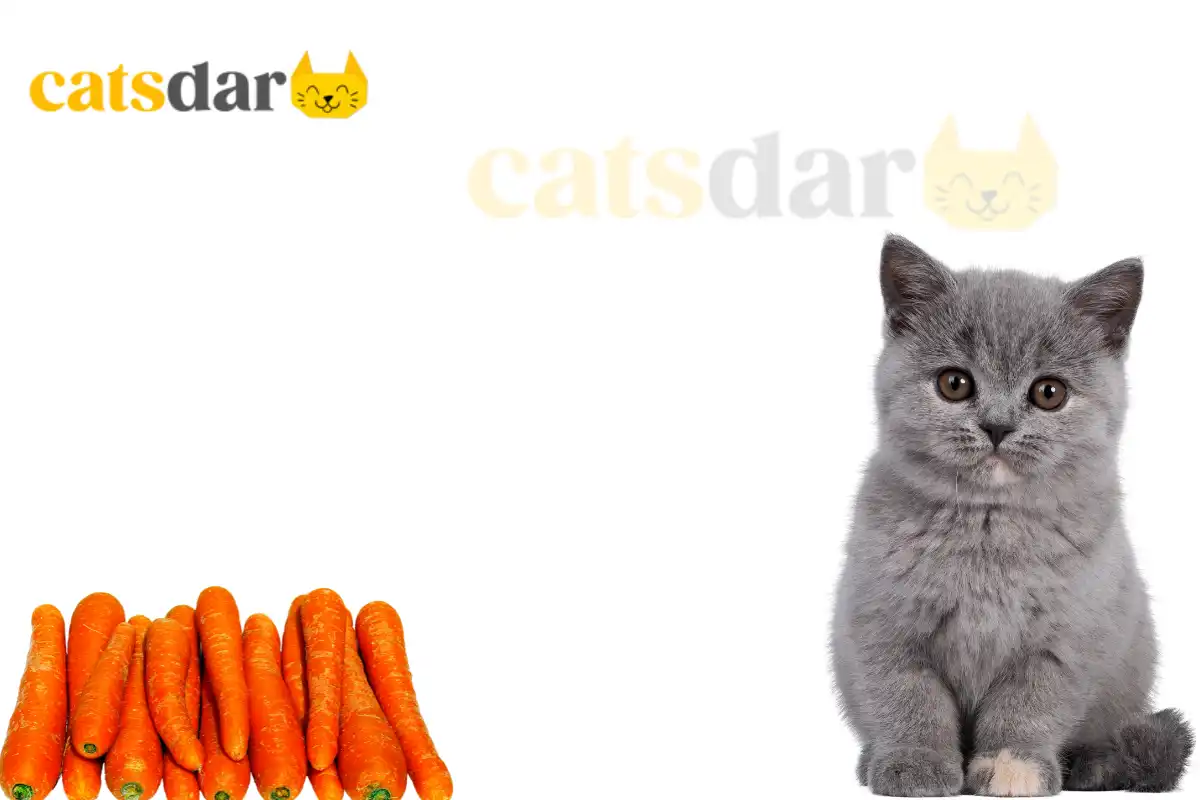 can cats eat carrots​