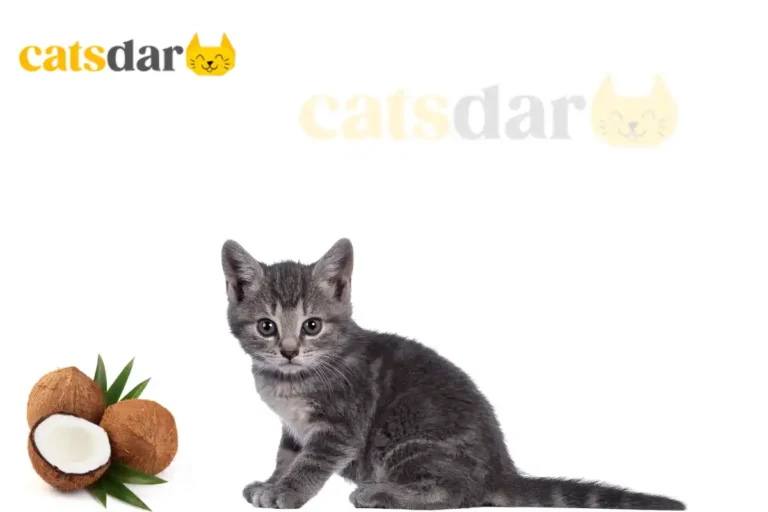 can cats eat coconut