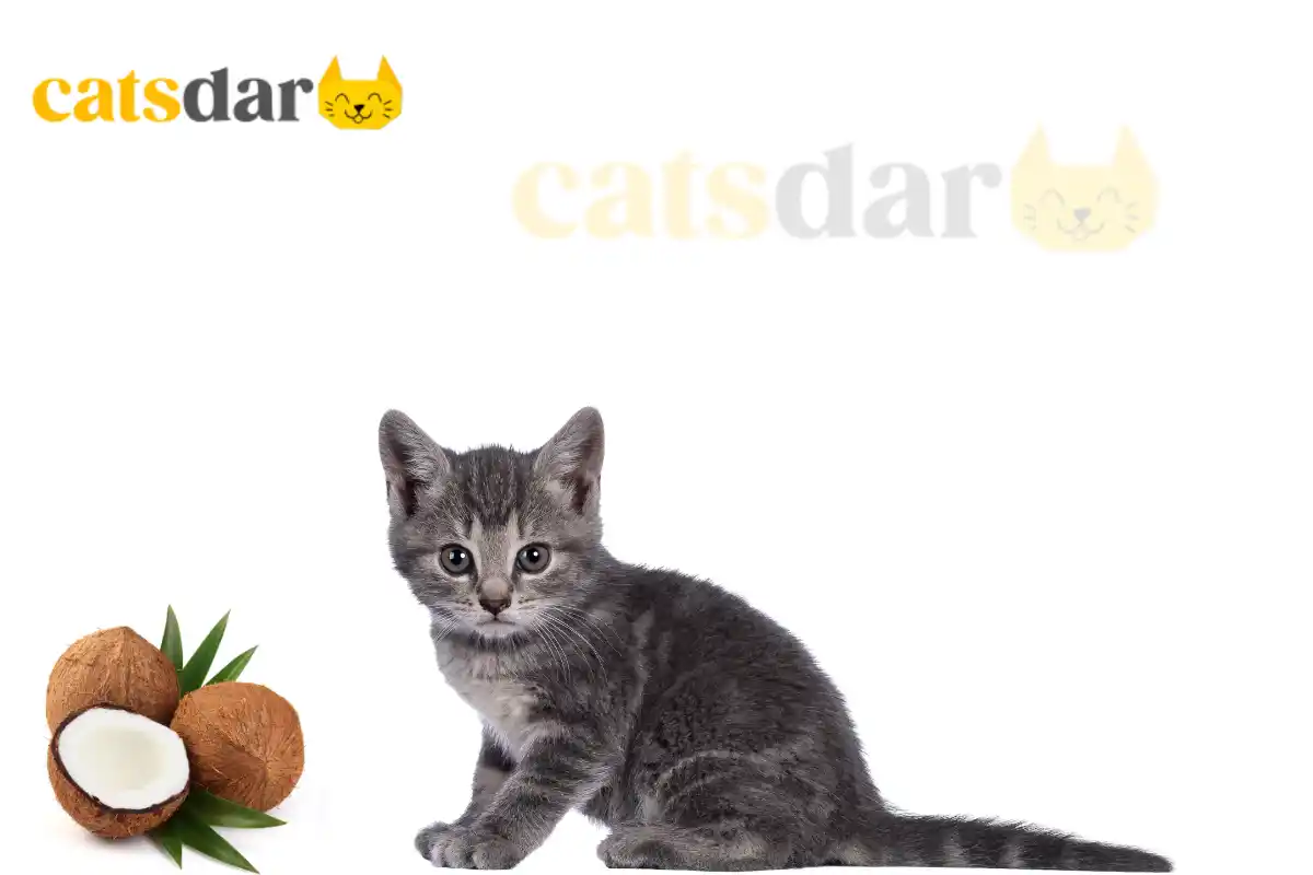 can cats eat coconut