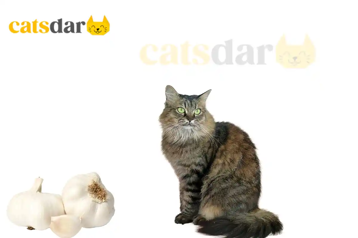 can cats eat garlic​