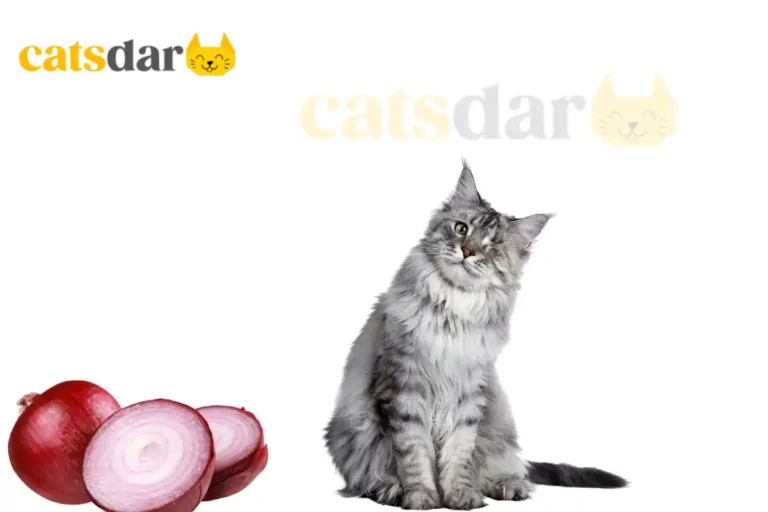 can cats eat onions​