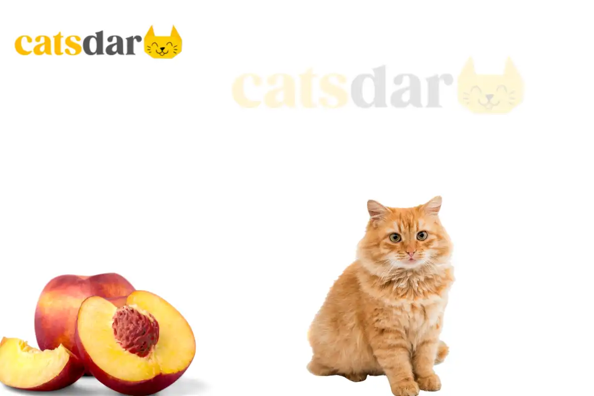 can cats eat peaches​