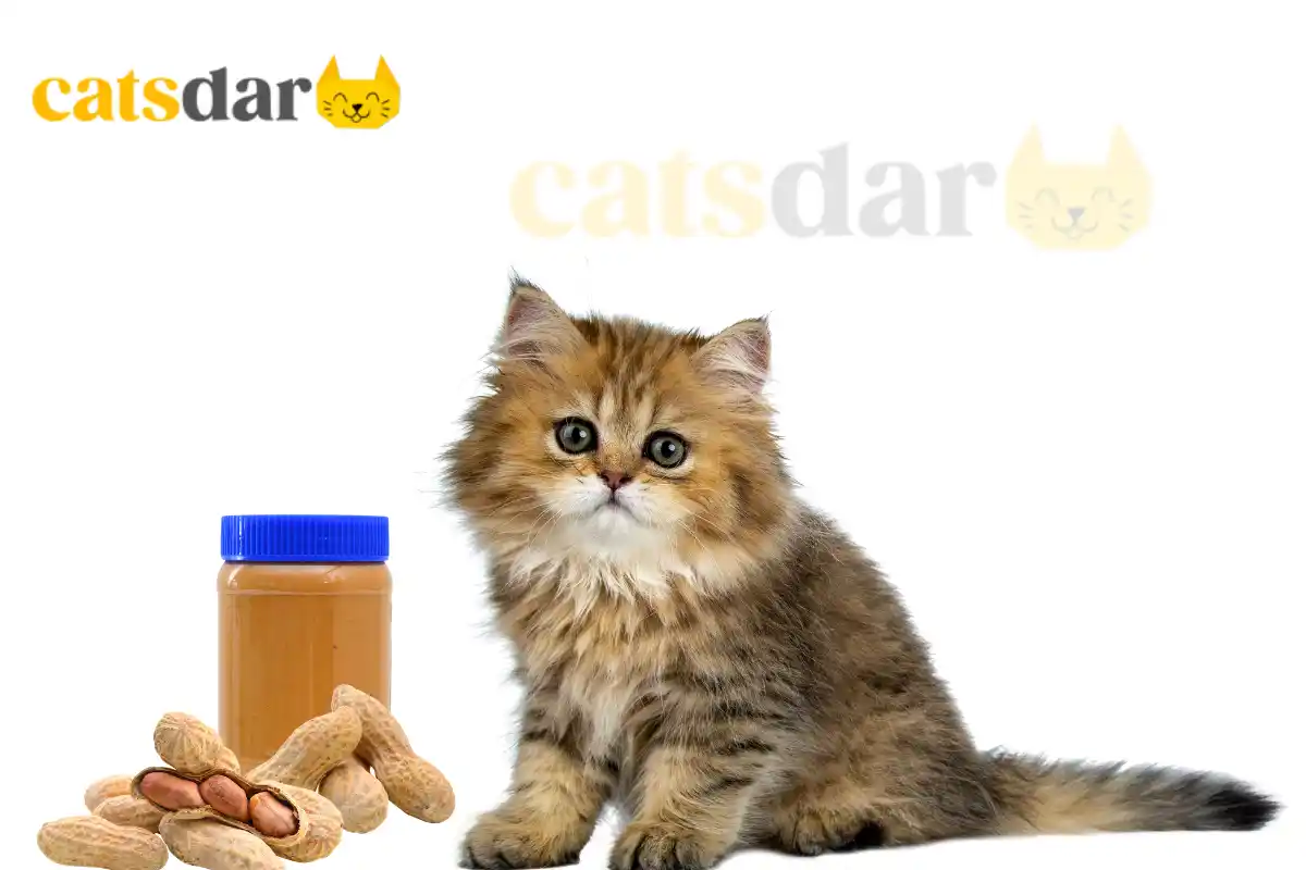 can cats eat peanut butter