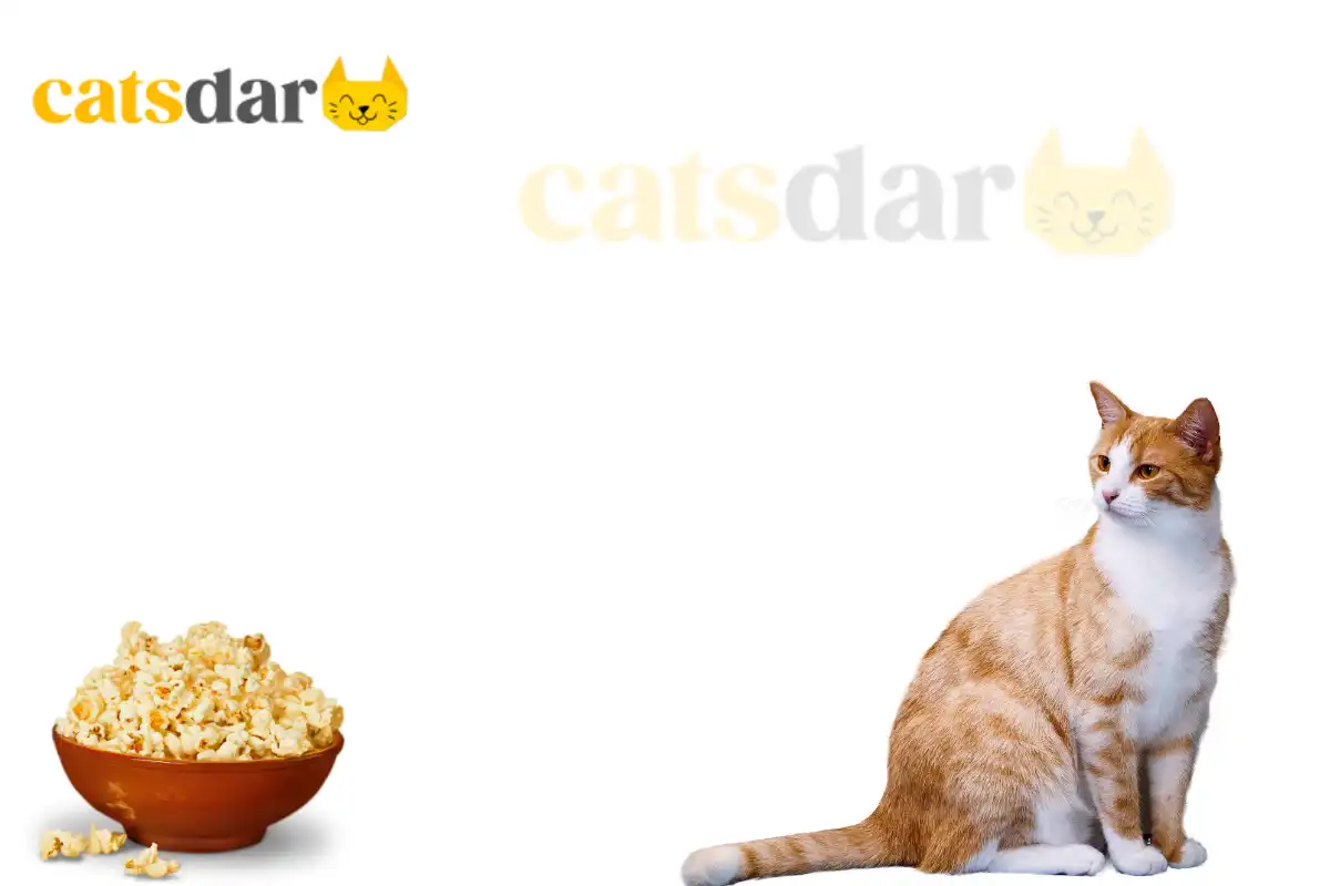can cats eat popcorn