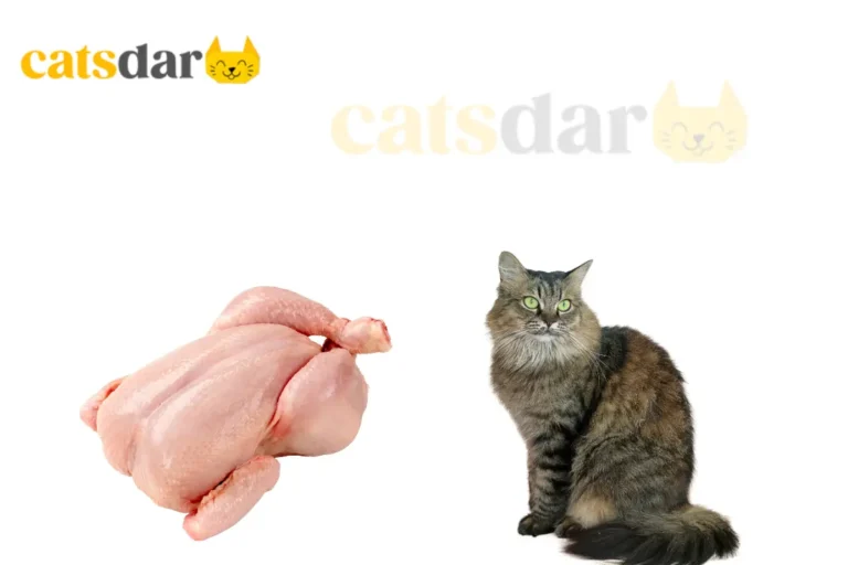 can cats eat raw chicken​