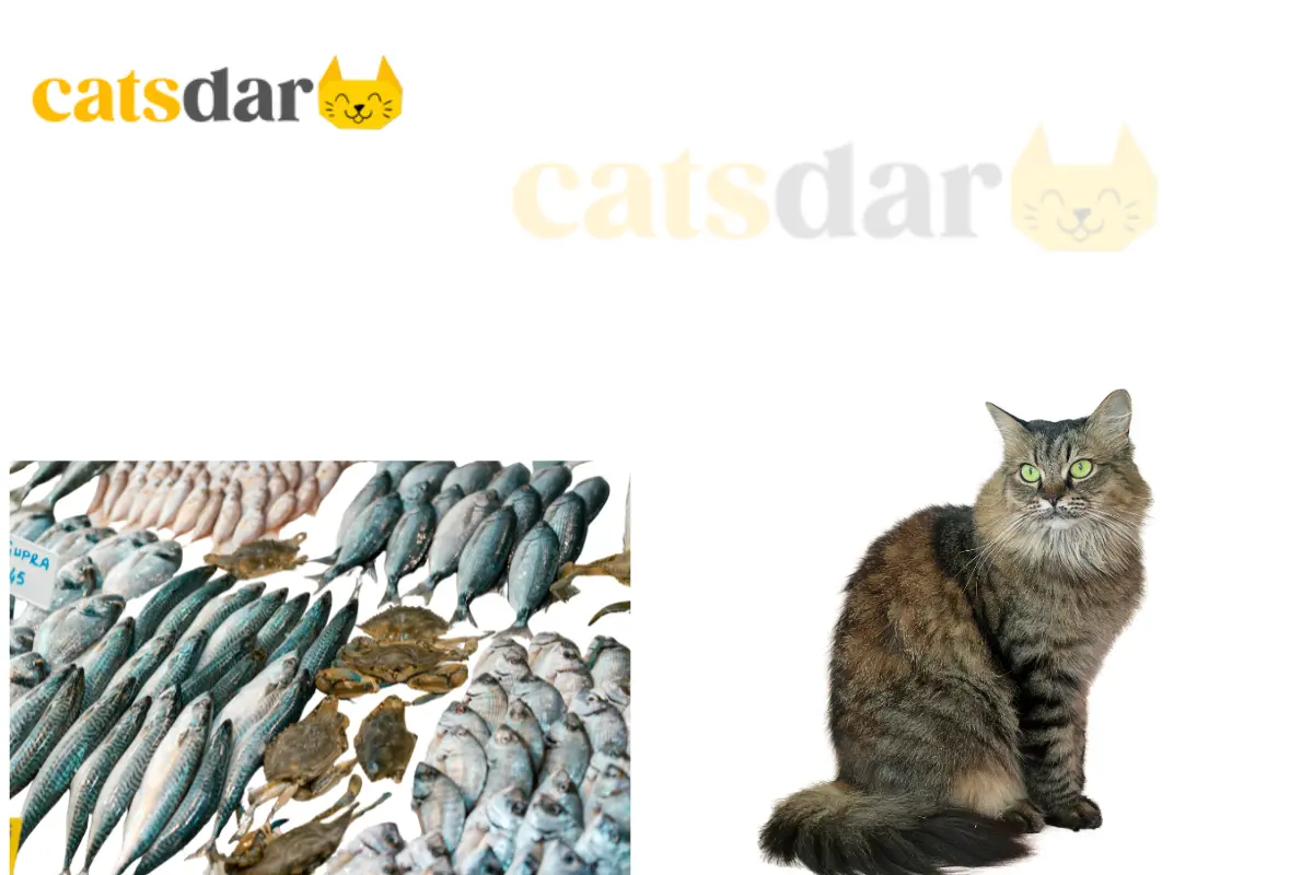 Can Cats Eat Raw Fish 