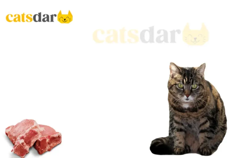 can cats eat raw meat
