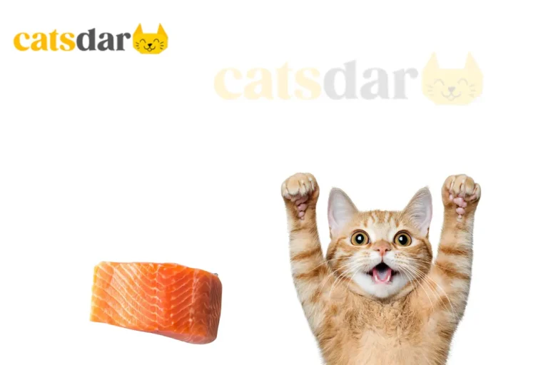 can cats eat raw salmon​
