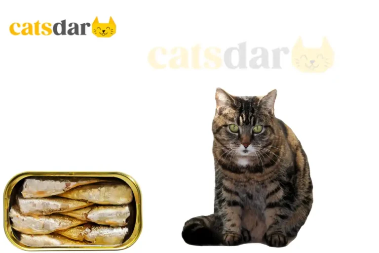 can cats eat sardines