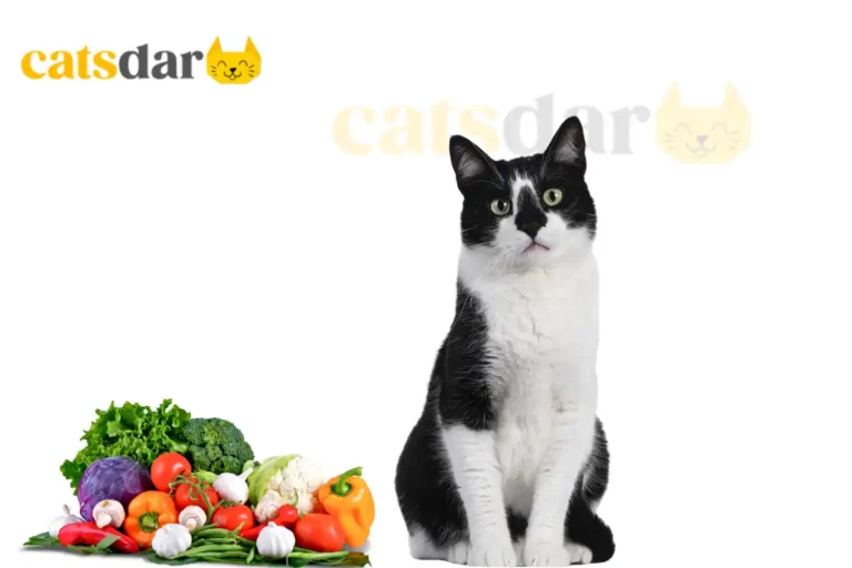 what vegetables can cats eat​