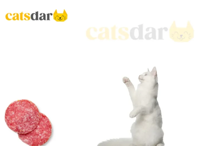 Can cats eat salami